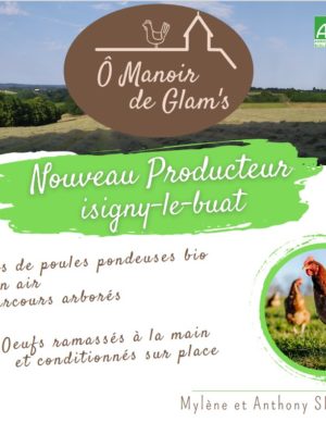 Poules de réforme Bio de 24 mois